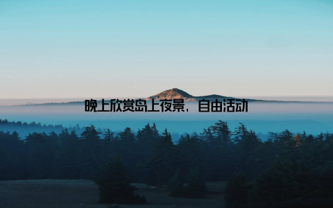 晚上欣赏岛上夜景, 自由活动