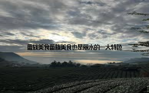 畲族美食畲族美食也是丽水的一大特色