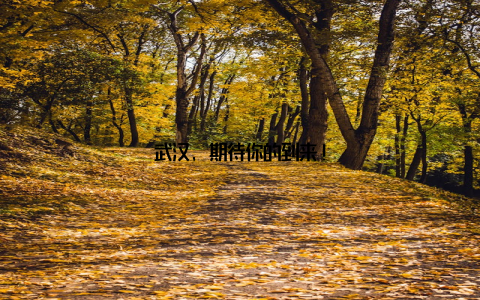 武汉, 期待你的到来!