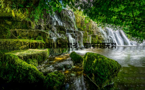 这里的鱼儿种类繁多, 垂钓乐趣无穷