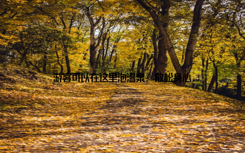 游客可以在这里泡温泉, 放松身心