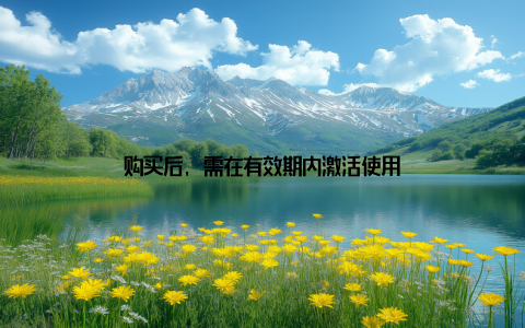 购买后, 需在有效期内激活使用