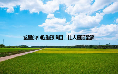 这里的小吃琳琅满目, 让人垂涎欲滴