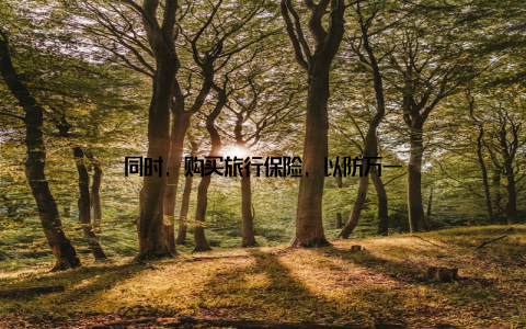 同时, 购买旅行保险, 以防万一