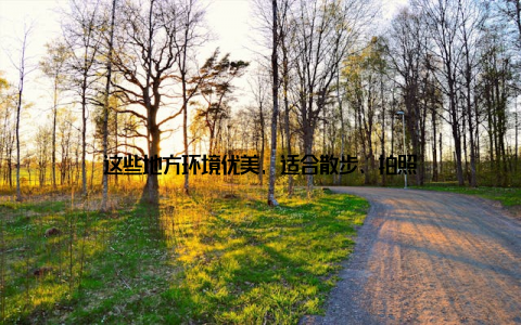 这些地方环境优美, 适合散步、拍照