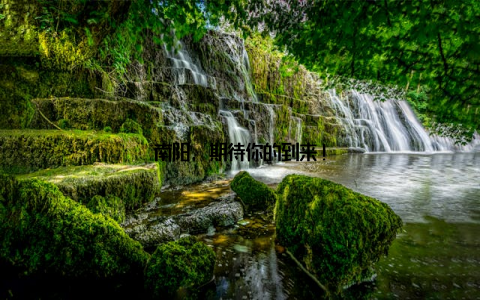 南阳, 期待你的到来!