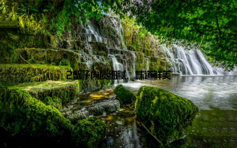 2蟹子肉质细腻, 味道鲜美