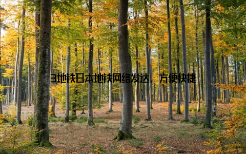 3地铁日本地铁网络发达, 方便快捷