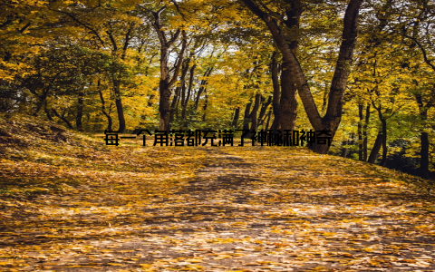 每一个角落都充满了神秘和神奇