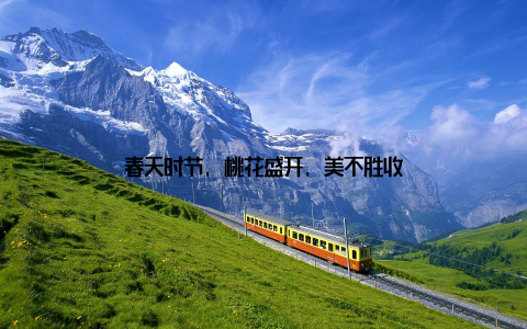 春天时节, 桃花盛开, 美不胜收