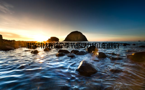 游客可以在这个季节感受九华山的秋韵