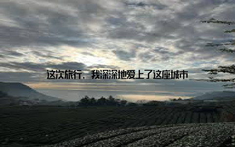 这次旅行, 我深深地爱上了这座城市