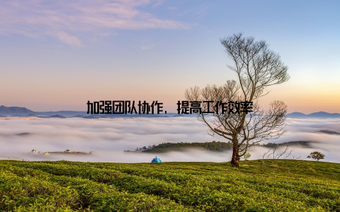 加强团队协作, 提高工作效率