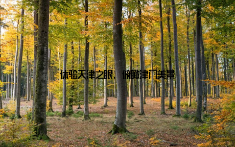 体验天津之眼, 俯瞰津门美景