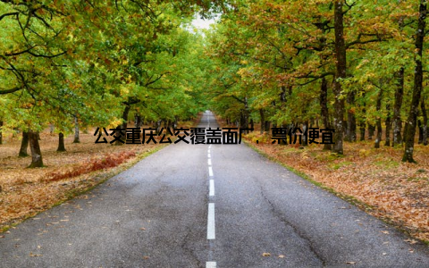 公交重庆公交覆盖面广, 票价便宜