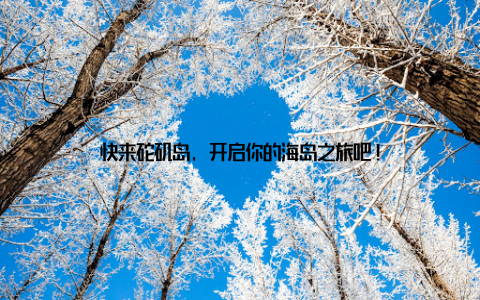快来砣矶岛, 开启你的海岛之旅吧!