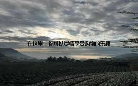 在这里, 你可以尽情享受购物的乐趣