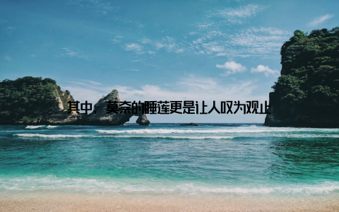 其中, 莫奈的睡莲更是让人叹为观止