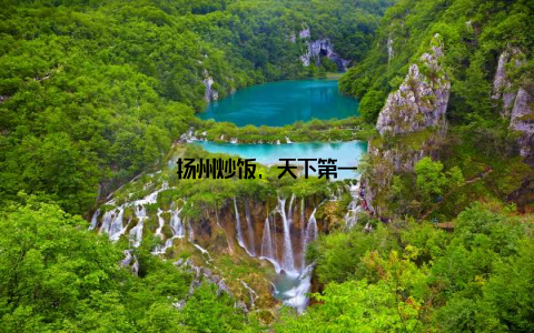 扬州炒饭, 天下第一