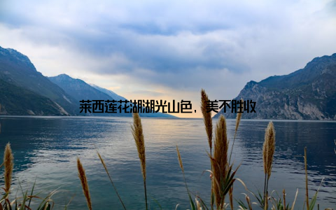 莱西莲花湖湖光山色, 美不胜收