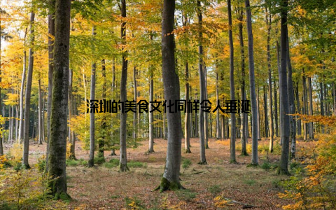 深圳的美食文化同样令人垂涎