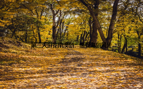 第三天游览南澳岛, 感受海岛风光