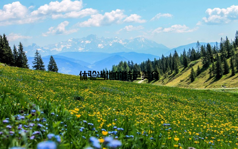 体验当地的特色美食