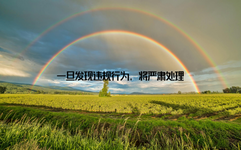 一旦发现违规行为, 将严肃处理