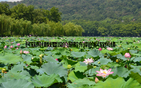 民族风情我要说的是黔东南的民族风情