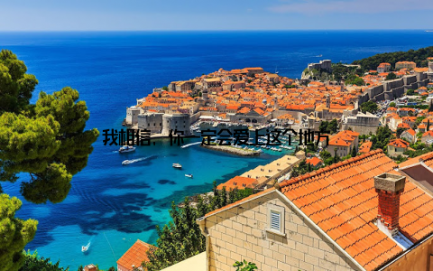 我相信, 你一定会爱上这个地方