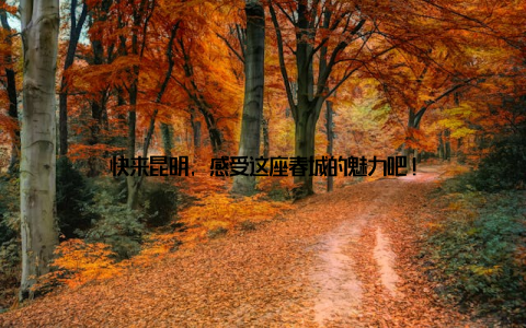 快来昆明, 感受这座春城的魅力吧!