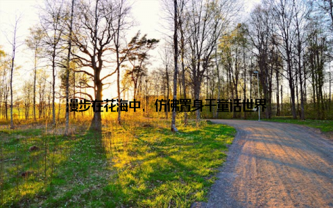 漫步在花海中, 仿佛置身于童话世界