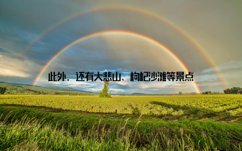 此外, 还有大悲山、枸杞沙滩等景点