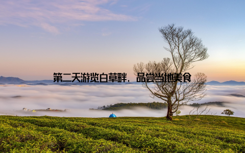 第二天游览白草畔, 品尝当地美食