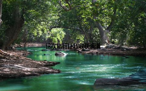 这次旅行让我收获满满