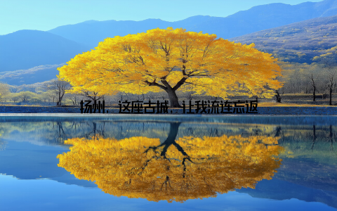 扬州, 这座古城, 让我流连忘返