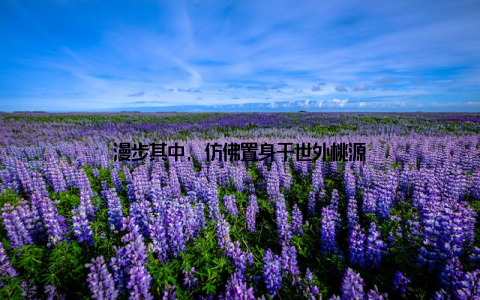 漫步其中, 仿佛置身于世外桃源